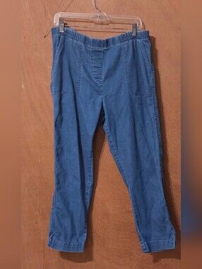Sara Morgan Women's Blue Denim Jeans - Straight Fit Elastic Waist Size 16P